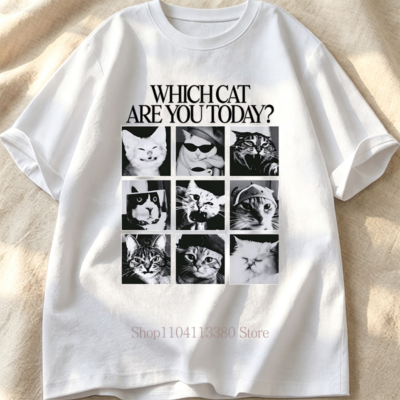 재미있는 고양이 패턴 프린트 여성용 티셔츠 여름 캐주얼 - Fashion Street Cat 리뷰 및 가격